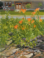 Daylilies