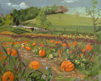 Pumpkin Patch