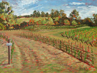 Vineyard